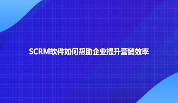 SCRM软件如何帮助企业提升营销效率
